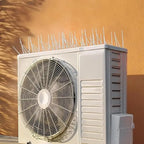 Pigeon Control Spikes (Set of 10)